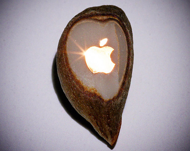 Микроминиатюрист поместил логотип Apple в яблочное зернышко