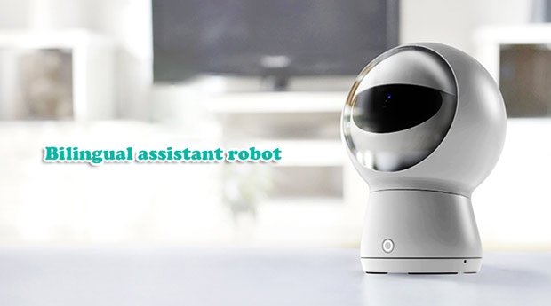 Выпущен доступный робот-помощник Moorebot MB01