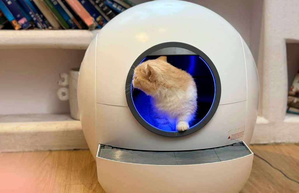 Автоматический умный кошачий туалет Amicura делает питомца счастливее