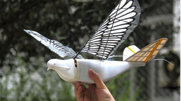 Созданы беспилотники-шпионы в виде голубей