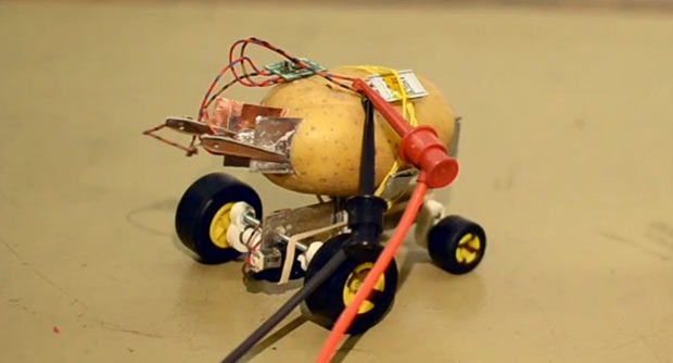 Из картошки создали самоуправляемого робота