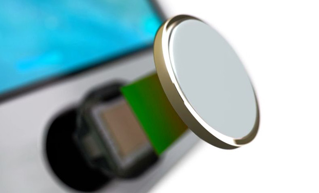 TSMC подготовила датчики Touch ID для iPhone 6, iPad Air 2 и iPad Mini 3