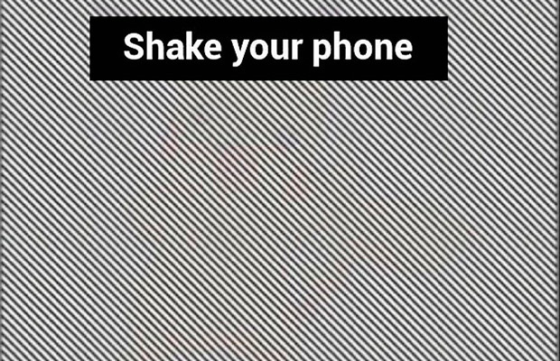 13 оптических иллюзий, которые видны, только если встряхнуть смартфон