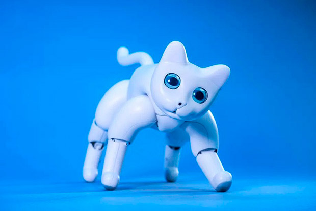 Представлен робот-кот MarsCat, имитирующий поведение живых котов