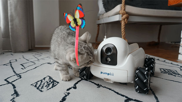 Xiaomi выпустила робота Pumpkii, развлекающего домашних животных