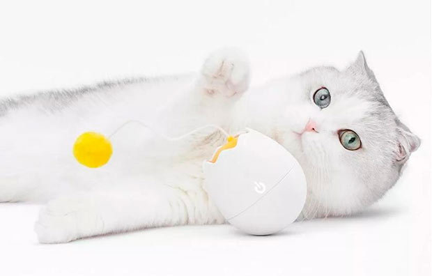 Xiaomi выпустила девайс FurryTail Toy для развлечения котов