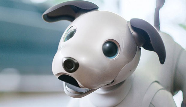Sony показала нового робота-собаку Aibo