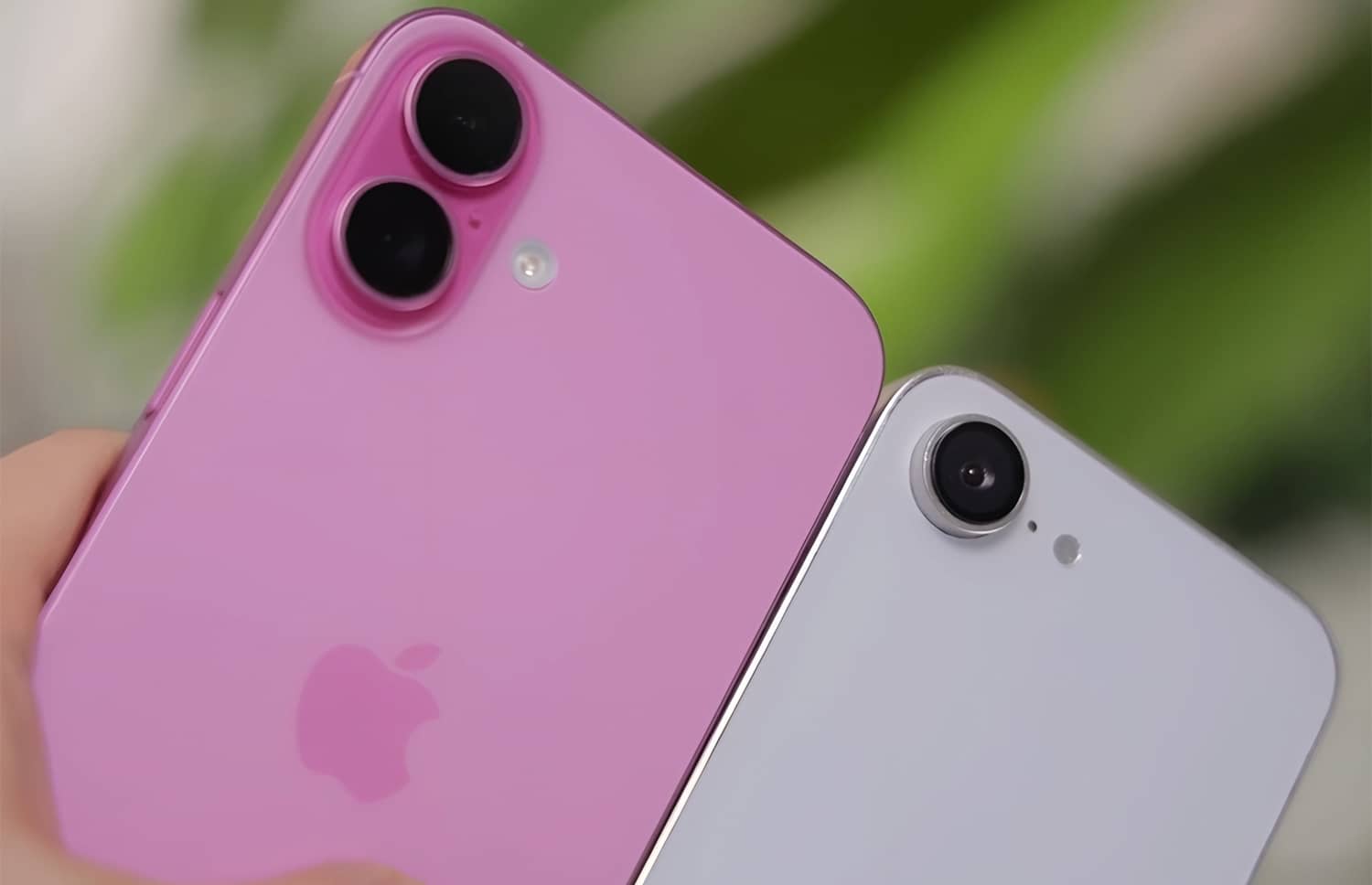 iPhone 16 и iPhone SE 4 вместе показали на фото