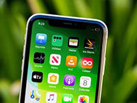 Владельцы iPhone 12 и iPhone 13 жалуются на зеленые экраны