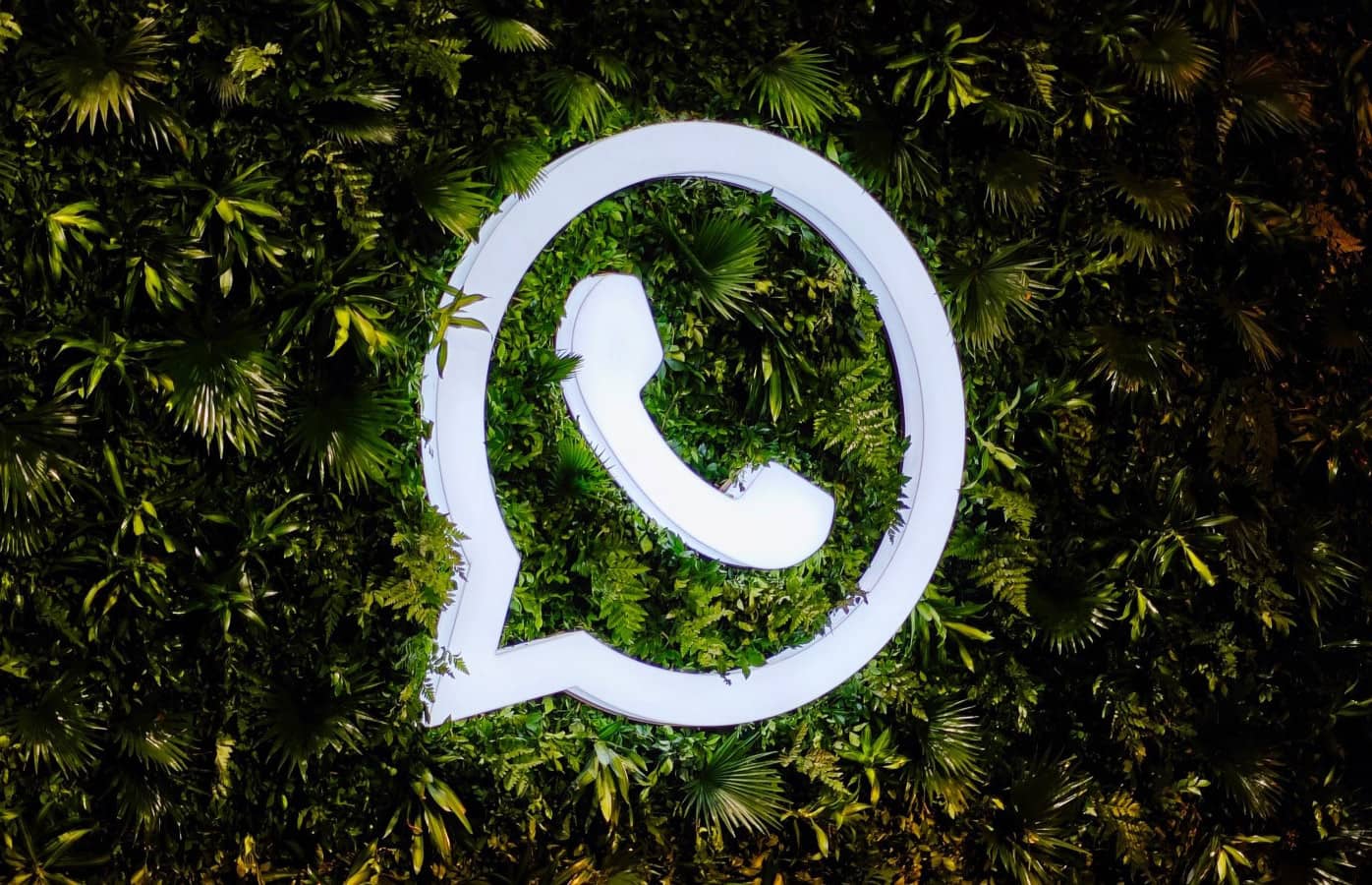 Названы 19 Android-смартфонов, на которых перестанет работать WhatsApp 1 января