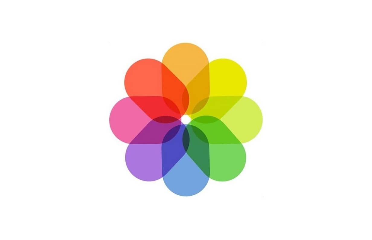 Apple обновила приложение Фото: появились расширенные слайд-шоу и новые инструменты для альбомов