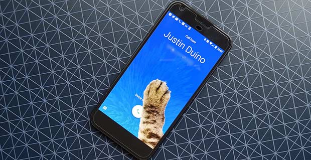В Google Phone есть «пасхалка» в виде лапы кота