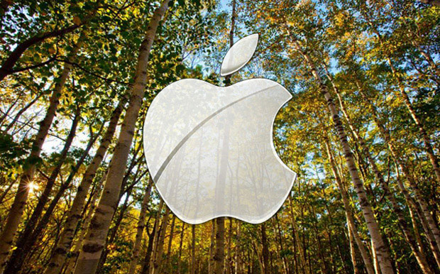 Зачем Apple понадобились 14 500 га леса