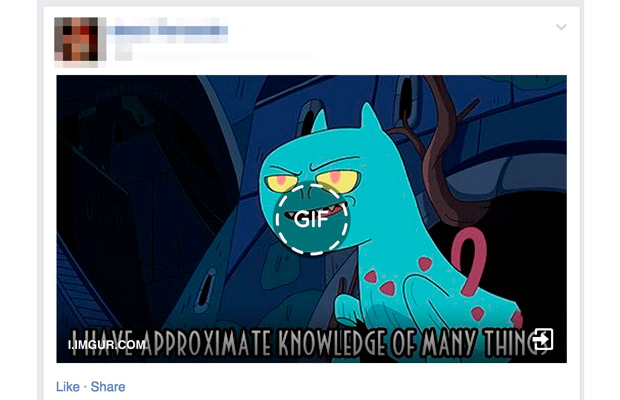 Facebook начала поддерживать анимированные GIF-изображения (инструкция)