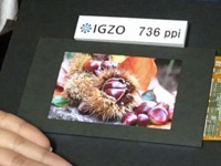 Sharp анонсировала 4.1” Quad HD IGZO LCD дисплей с плотностью пикселей 736ppi