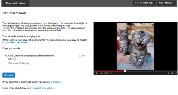 YouTube посчитал кошачье мурлыканье нарушением авторских прав