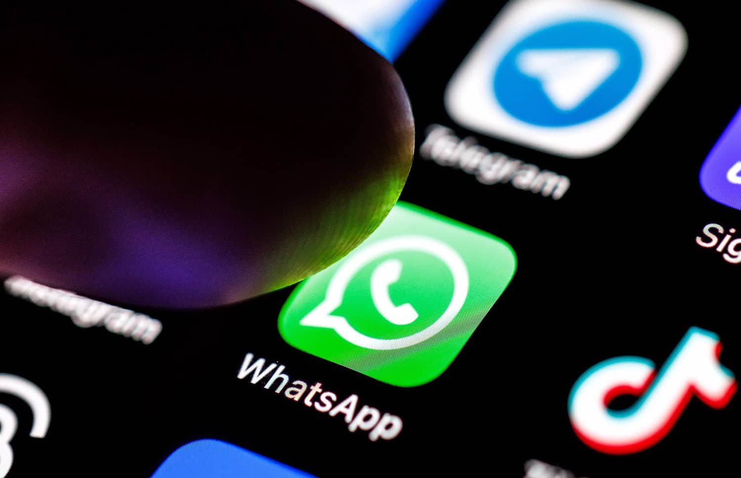 WhatsApp готовит важное изменение: сообщения от банков, авиакомпаний и магазинов исчезнут из основного списка чатов