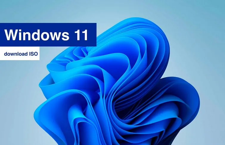 ISO-образ Windows 11 Insider Preview стал доступен для загрузки всем желающим