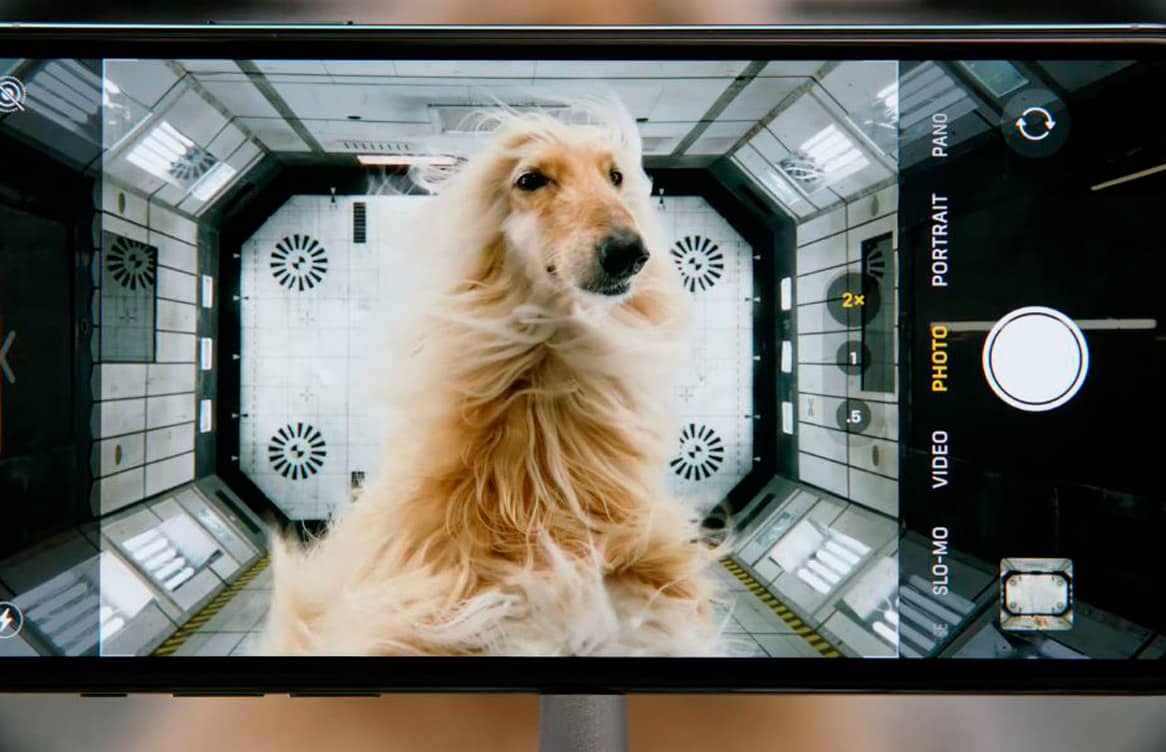 Apple перетворила iPhone на камеру для стеження за домашніми тваринами