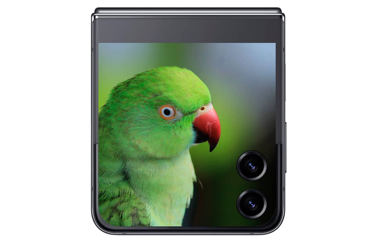 Samsung Galaxy Z Flip5 отримає великий зовнішній дисплей