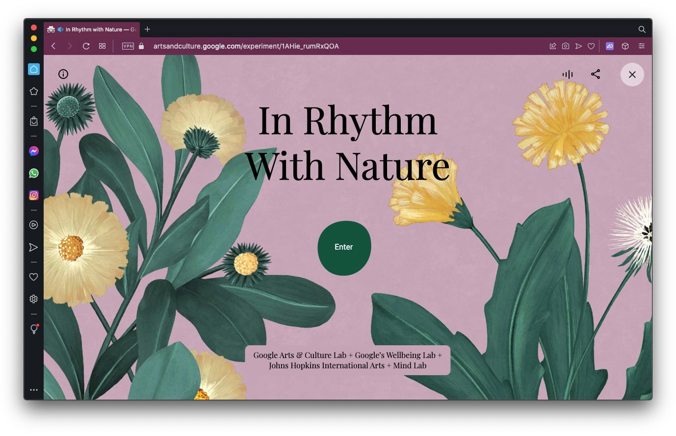 Google створила сайт із «дихаючими» квітами