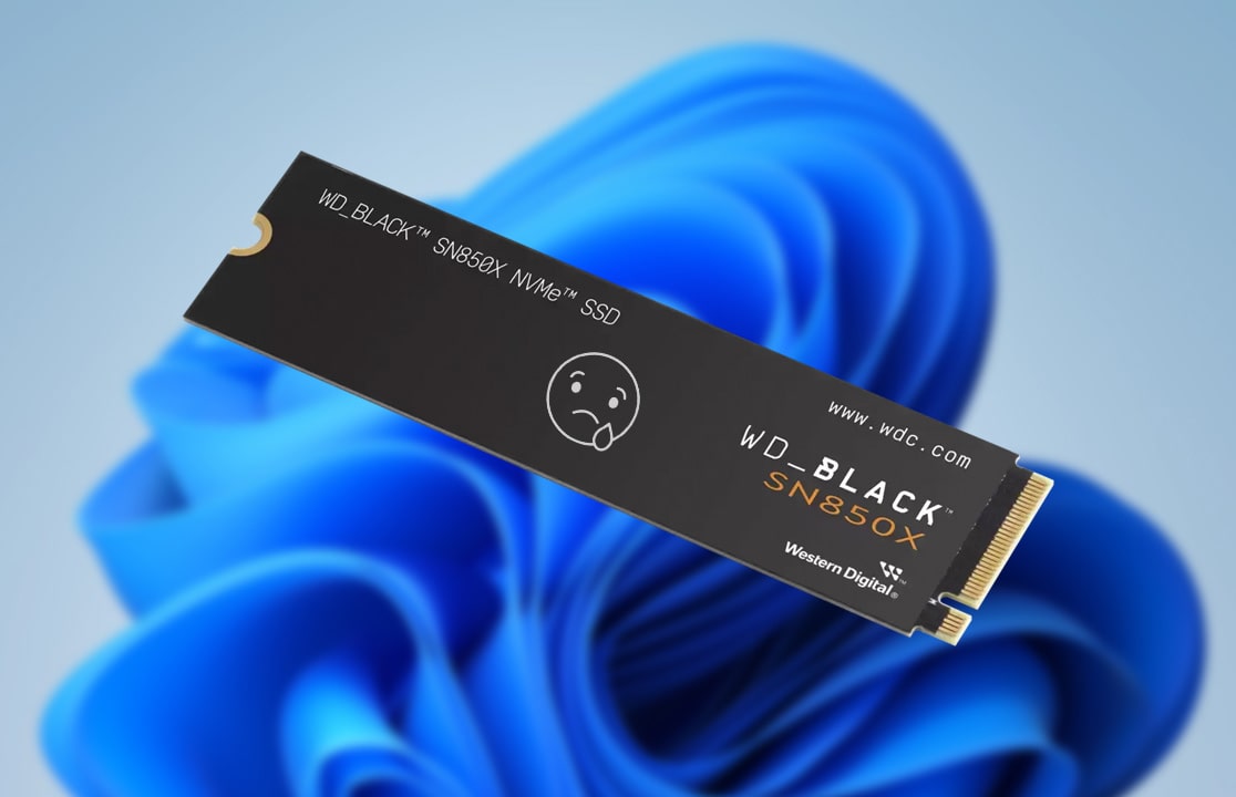 Останнє оновлення Windows 11 24H2 може порушити роботу SSD/HDD та пошкодити дані
