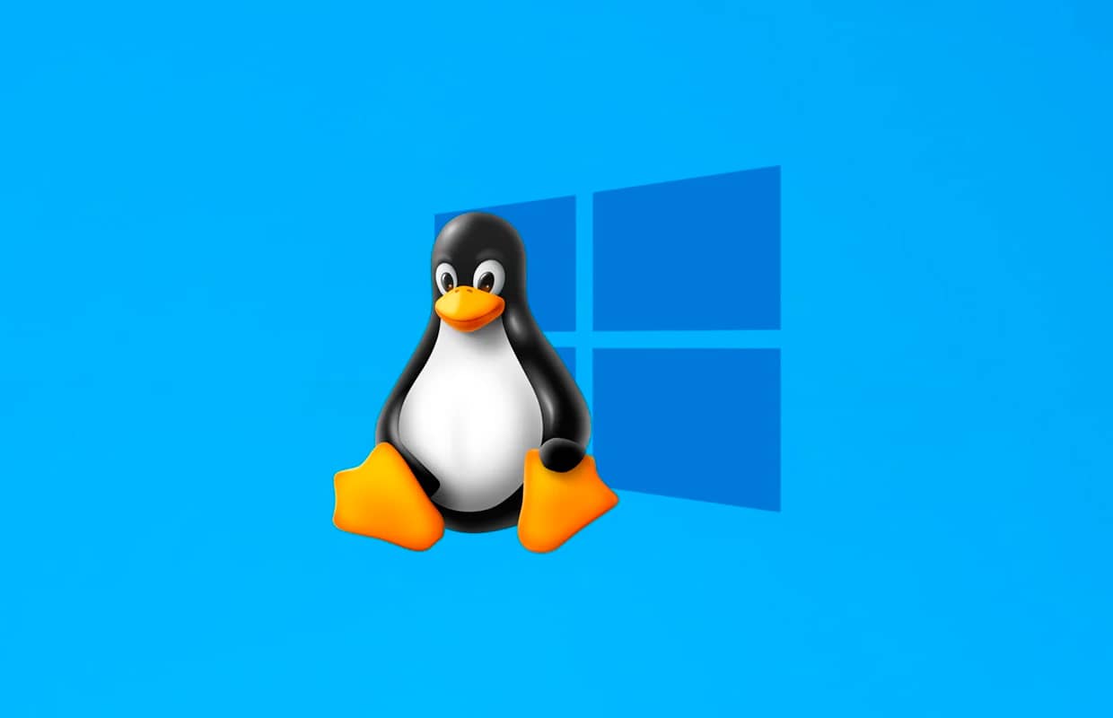 У Windows 11 засвітилася відома функція Linux