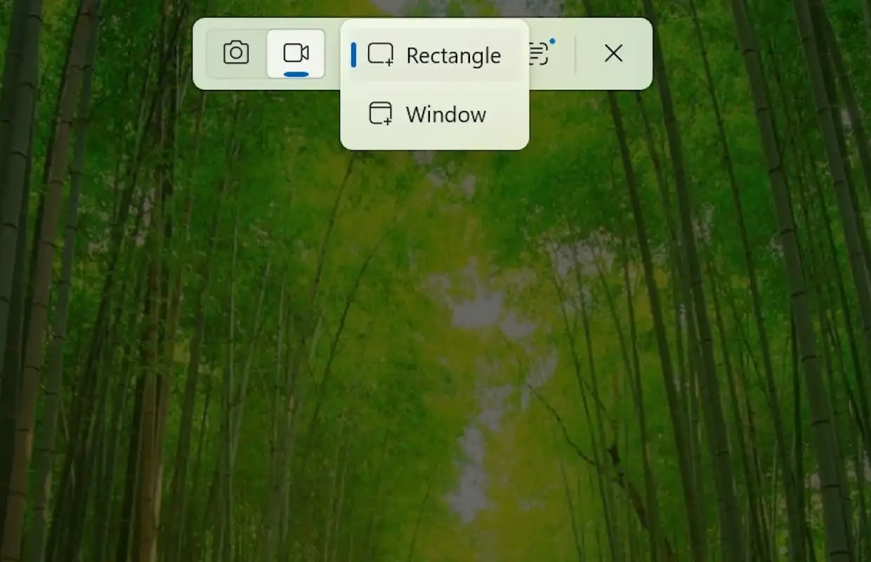 У Windows 11 з