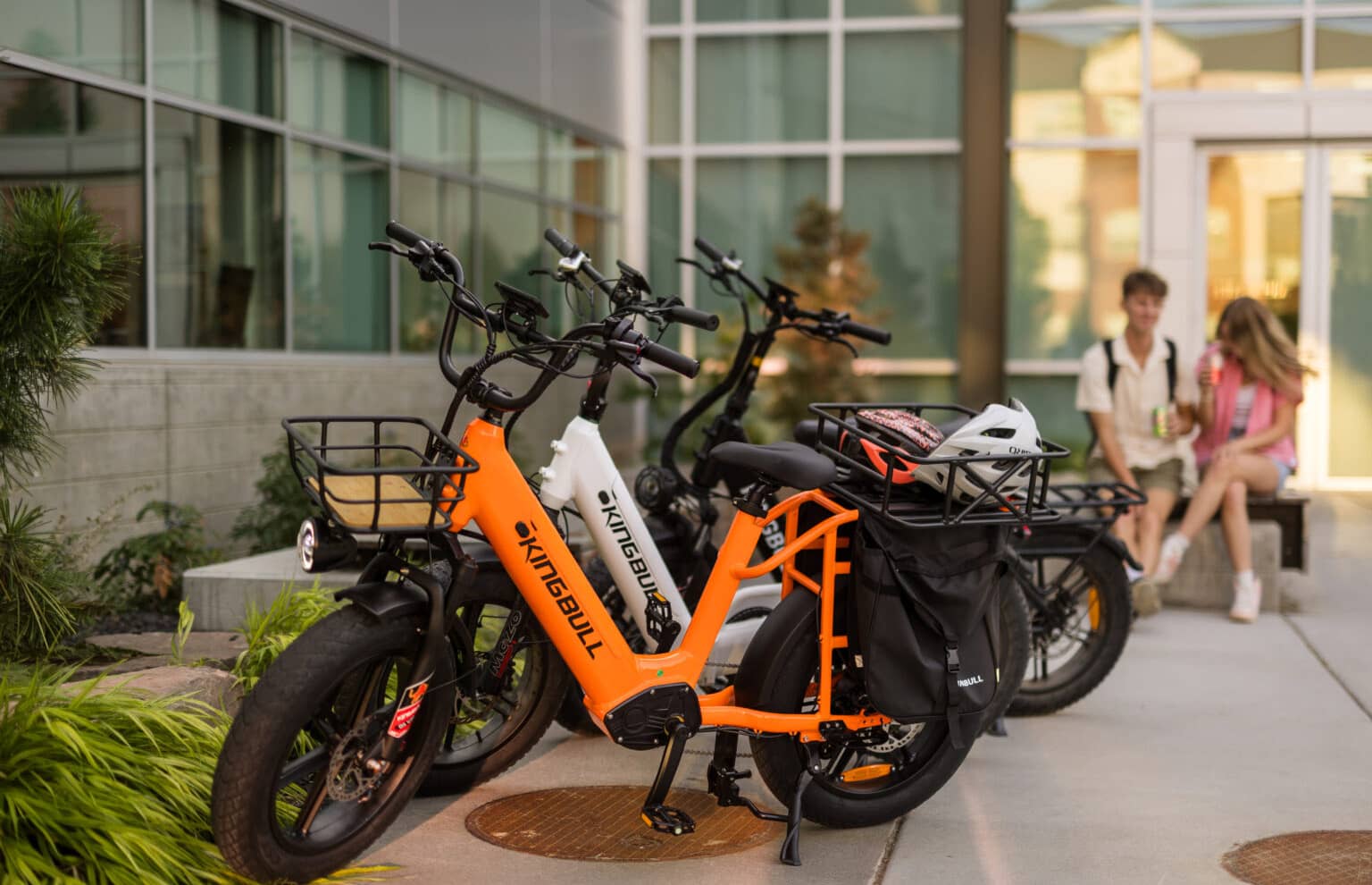 Представлено високопродуктивний вантажний електровелосипед Kingbull Voyager 2.0