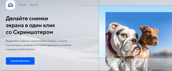 скриншотер