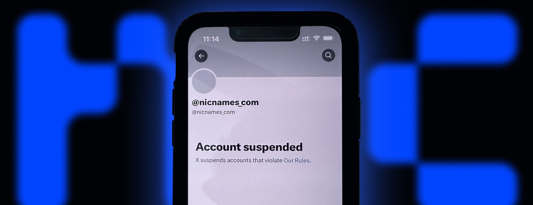 NicNames.com потеряла аккаунт на X несмотря на вложения в премиум-услуги